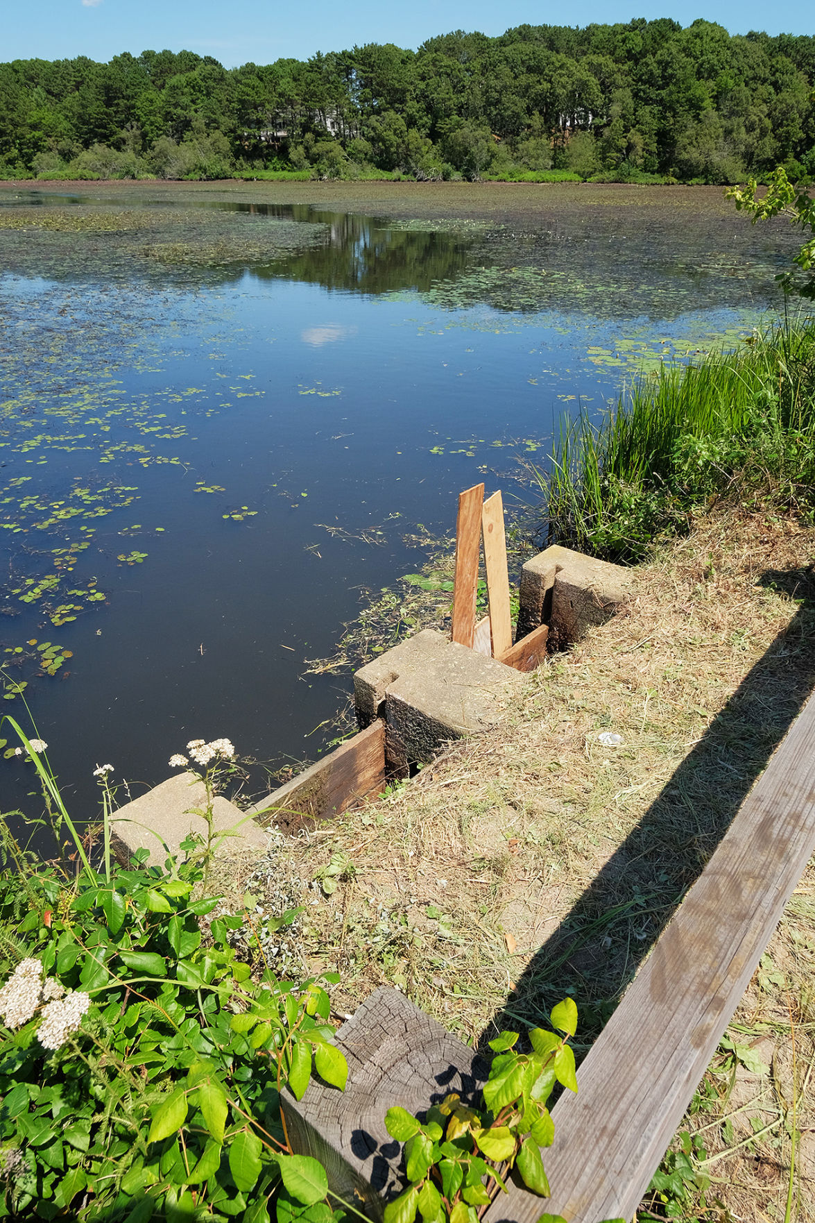 Red Brook Road Culvert